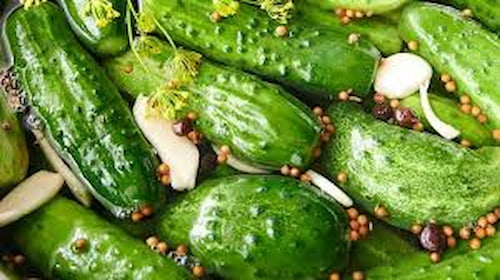 تصویر 4 از قیمت خیارشور ترد و خوشمزه + خرید باور نکردنی